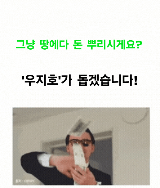 13.gif